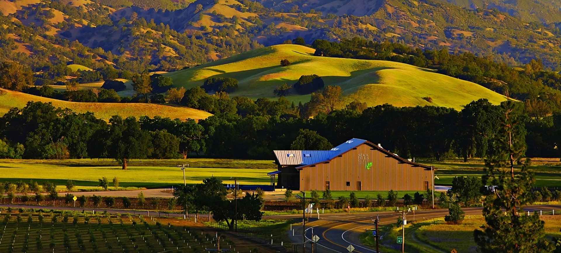 Seka Hills